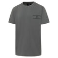 T-shirt  YELLOWSTONE ride for the brand grey