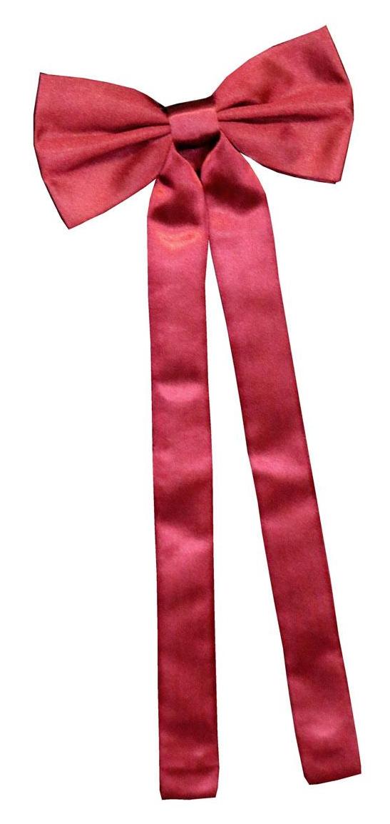 Cravate de cowboy occidentale T-02 BORDEAUX